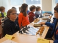DSC06887.jpg