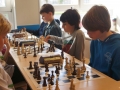 DSC06896.jpg