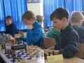 DSC06905.jpg