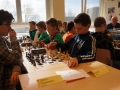 DSC06923.jpg
