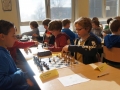 DSC06934.jpg
