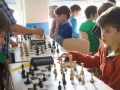DSC06948.jpg